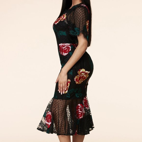 H.P. ⭐NWT -ELEGANT EMBROIDERED FLORAL LACE DRESS - Picture 4 of 8